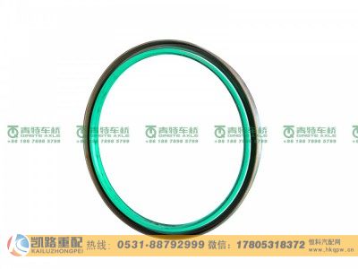 W3104048D01C-S1,轮毂油封,山东凯路汽车零部件制造有限公司
