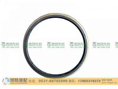 W3104049D01C-S1,后轮毂油封,山东凯路汽车零部件制造有限公司