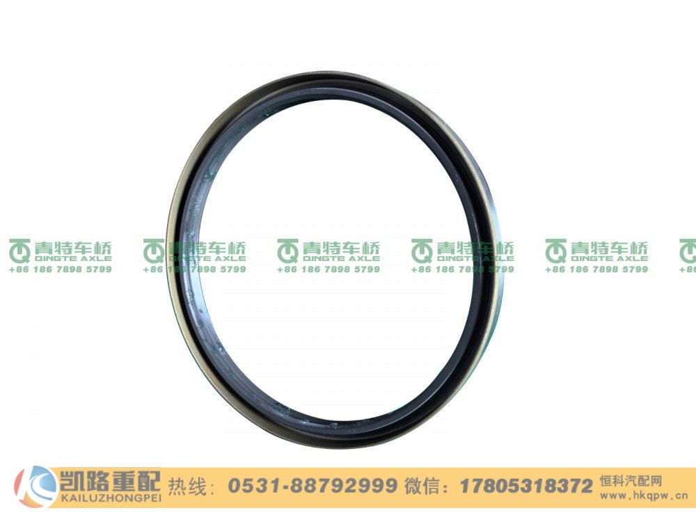 W3104049D01C-S1,后轮毂油封,山东凯路汽车零部件制造有限公司
