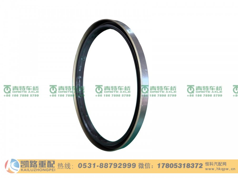 W3104049D01C-S1,后轮毂油封,山东凯路汽车零部件制造有限公司