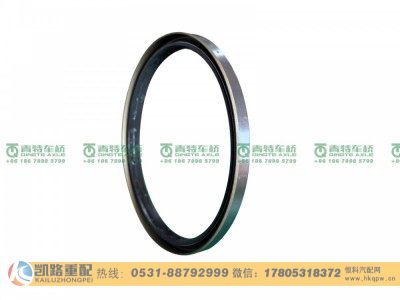 W3104049D01C-S1,后轮毂油封,山东凯路汽车零部件制造有限公司
