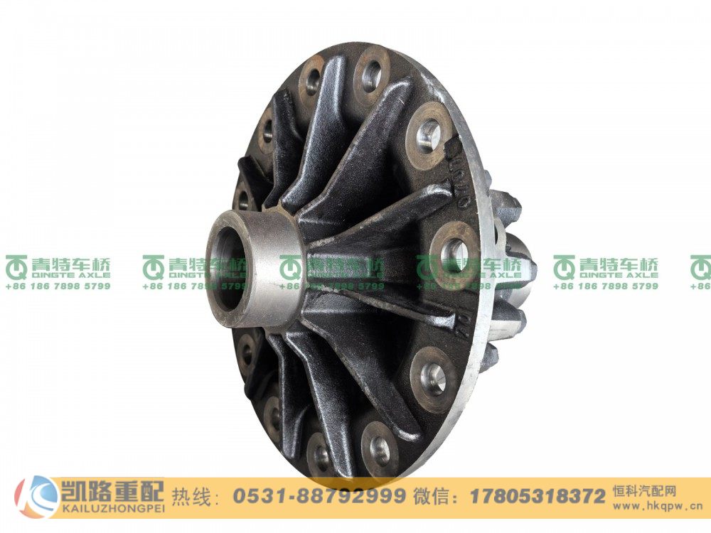 QT435S14-2403000,差速器总成,山东凯路汽车零部件制造有限公司