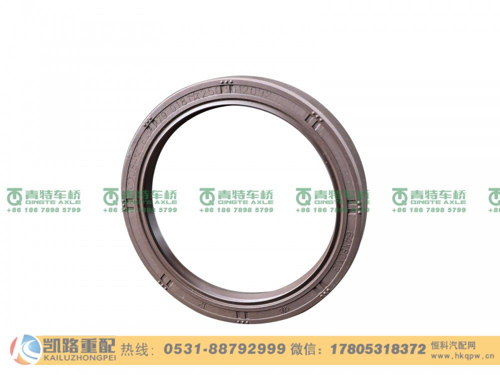 山東凱路青特車橋06.56279.0181 軸密封圈漢德前轉(zhuǎn)向驅(qū)動橋/06.56279.0181