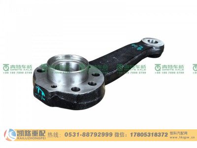 DZ90009410070,直拉杆臂,山东凯路汽车零部件制造有限公司