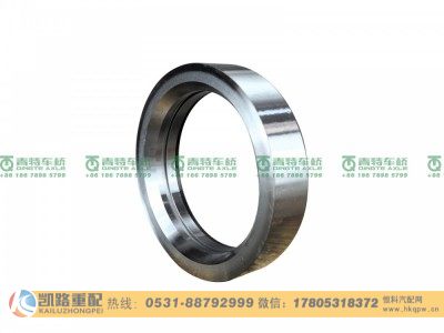 QT300SG0-3104086,油封座圈,山东凯路汽车零部件制造有限公司