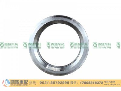 QT300SG0-3104086,油封座圈,山东凯路汽车零部件制造有限公司