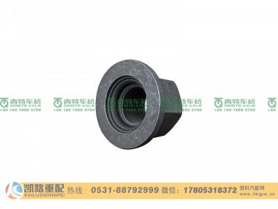 QT300S0-3104070,车轮螺母,山东凯路汽车零部件制造有限公司