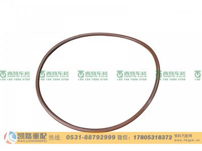QT300SG0-3104082,O型圈,山东凯路汽车零部件制造有限公司
