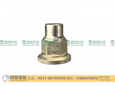 QT440SH0-3104070,螺母,山东凯路汽车零部件制造有限公司