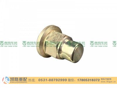 QT440SH0-3104070,螺母,山东凯路汽车零部件制造有限公司