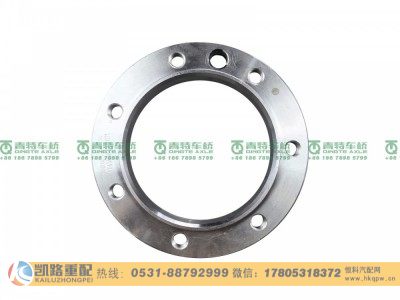QT459S8-2401171,法兰,山东凯路汽车零部件制造有限公司