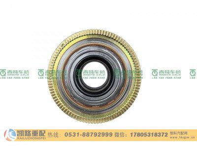 QT50FQ37-3103000,前轮毂,山东凯路汽车零部件制造有限公司