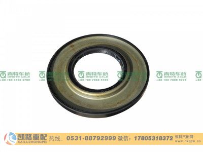 QT295D117-3104040,油封,山东凯路汽车零部件制造有限公司