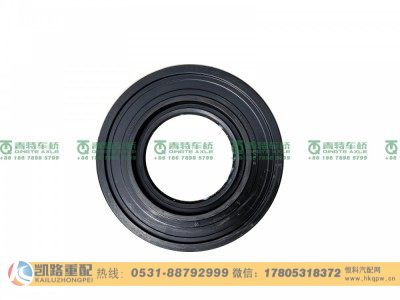 QT295D117-3104040,油封,山东凯路汽车零部件制造有限公司