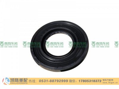 QT295D117-3104040,油封,山东凯路汽车零部件制造有限公司