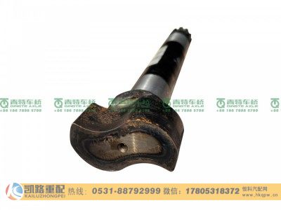 QT360×130×386-3502111,凸轮轴,山东凯路汽车零部件制造有限公司