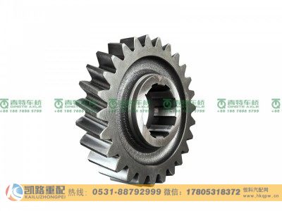 ZL295S3-2502109,从动圆柱齿轮,山东凯路汽车零部件制造有限公司