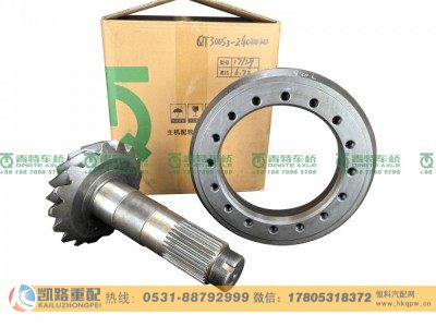 QT300S3-2402020,后桥盆角齿,山东凯路汽车零部件制造有限公司