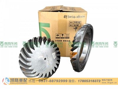 QT300S4-2502020,中桥分盆角齿,山东凯路汽车零部件制造有限公司