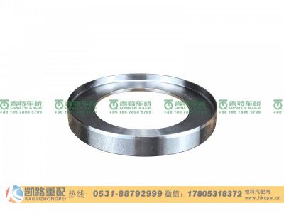 QT50AQ0-3001041,油封座圈,山东凯路汽车零部件制造有限公司