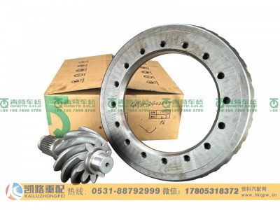 QT469S1-2402020,后桥盆角齿,山东凯路汽车零部件制造有限公司