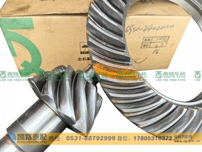 QT469S1-2402020,后桥盆角齿,山东凯路汽车零部件制造有限公司