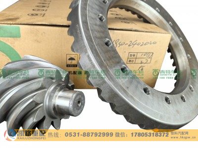 QT469S1-2402020,后桥盆角齿,山东凯路汽车零部件制造有限公司