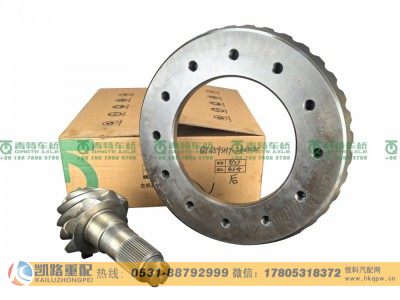 QT459SH7-2402020,后桥盆角齿,山东凯路汽车零部件制造有限公司