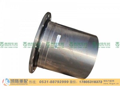 JY24R043Z-010-001,轮边减速器总成,山东凯路汽车零部件制造有限公司