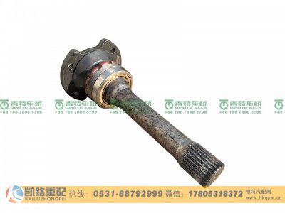 QT300SH0-2502160,后贯通轴总成,山东凯路汽车零部件制造有限公司
