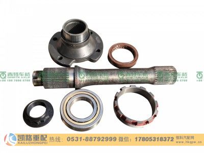 QT300SH0-2502160,后贯通轴总成,山东凯路汽车零部件制造有限公司