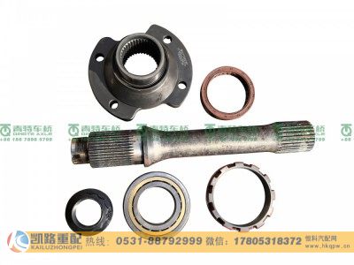QT300SH0-2502160,后贯通轴总成,山东凯路汽车零部件制造有限公司