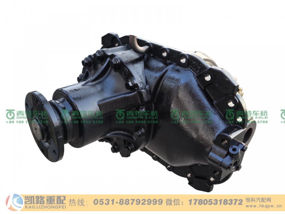 山东凯路青特车桥FDC3193200030002510-后桥主减总成