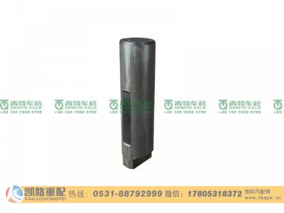 QT469S0-2403062,短行星齿轮轴,山东凯路汽车零部件制造有限公司