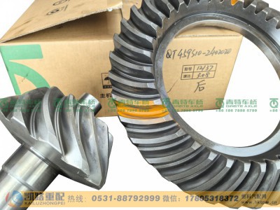 QT459S10-2402020,后桥盆角齿,山东凯路汽车零部件制造有限公司
