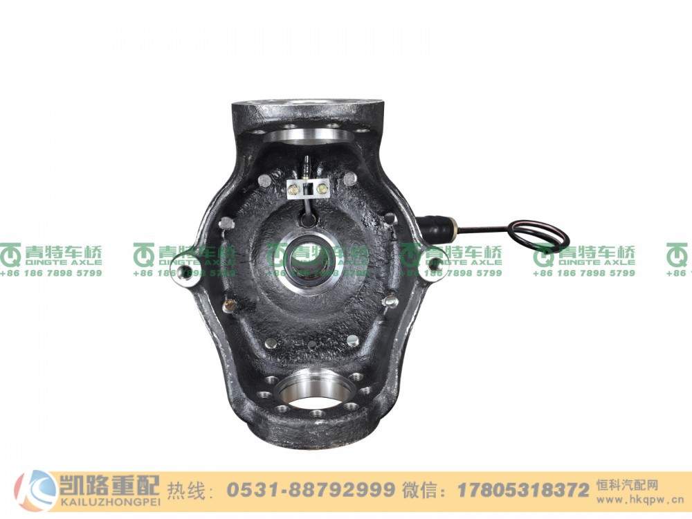 QT205Q5-2304010,转向节,山东凯路汽车零部件制造有限公司