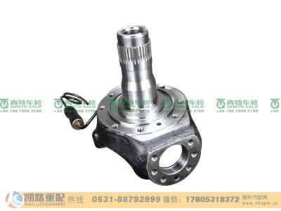 QT205Q5-2304010,转向节,山东凯路汽车零部件制造有限公司