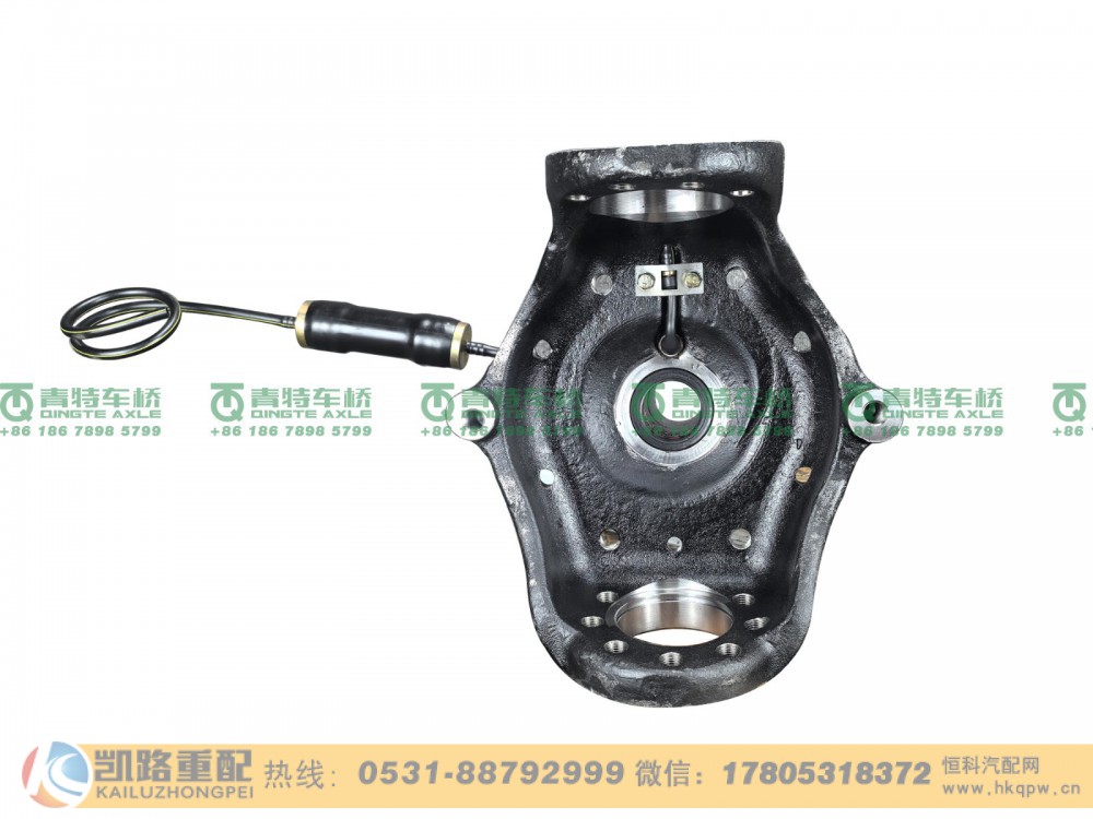 QT205Q5-2304020,转向节,山东凯路汽车零部件制造有限公司