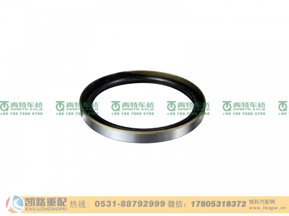 QT485S13-3502174,油封,山东凯路汽车零部件制造有限公司