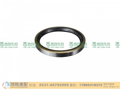 QT485S13-3502174,油封,山东凯路汽车零部件制造有限公司