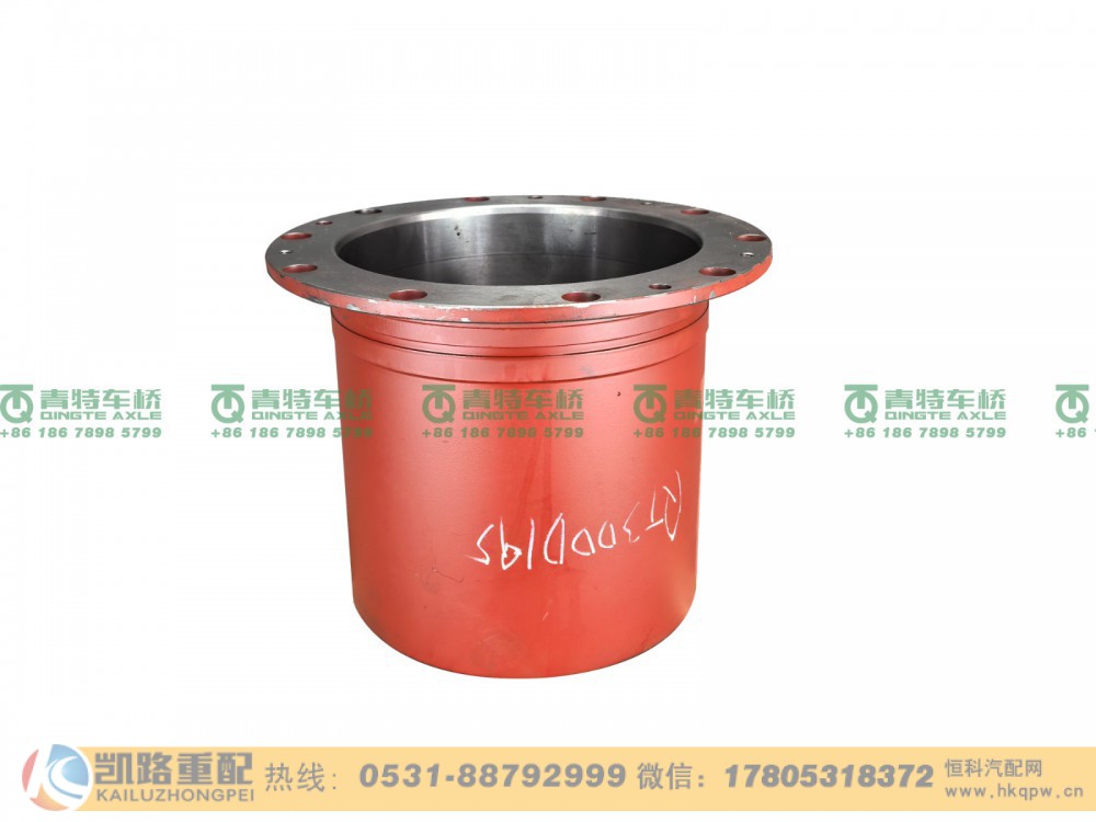 QT300D195-2405060,轮边减速器,山东凯路汽车零部件制造有限公司
