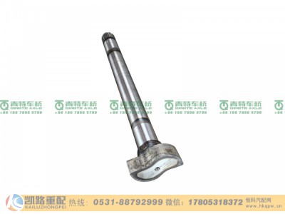 QT300D195-3502111,凸轮轴,山东凯路汽车零部件制造有限公司