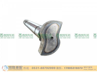 QT300D195-3502111,凸轮轴,山东凯路汽车零部件制造有限公司