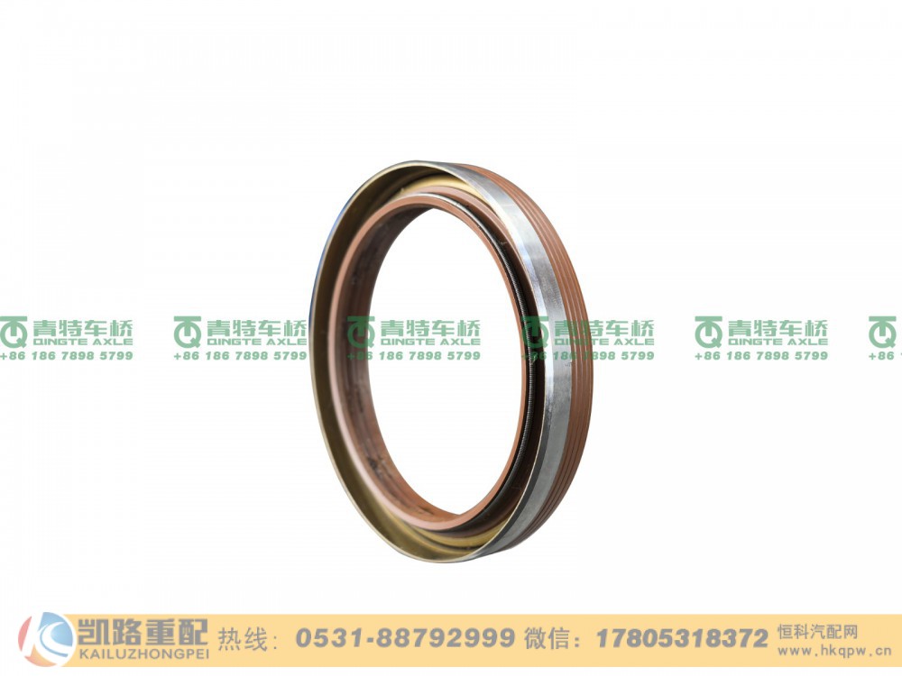 QT300S981-2502055,油封,山东凯路汽车零部件制造有限公司