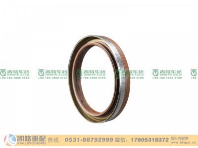 QT300S981-2502055,油封,山东凯路汽车零部件制造有限公司