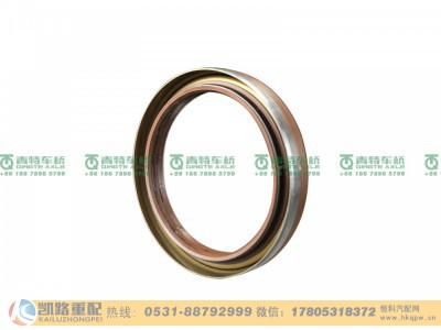 QT300S981-2502055,油封,山东凯路汽车零部件制造有限公司