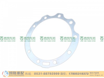 QT205D0-2402092,调整垫片,山东凯路汽车零部件制造有限公司