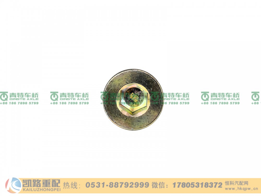 QT300S1-2400039,放油螺塞,山东凯路汽车零部件制造有限公司
