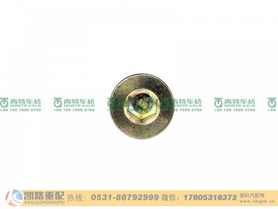 QT300S1-2400039,放油螺塞,山东凯路汽车零部件制造有限公司