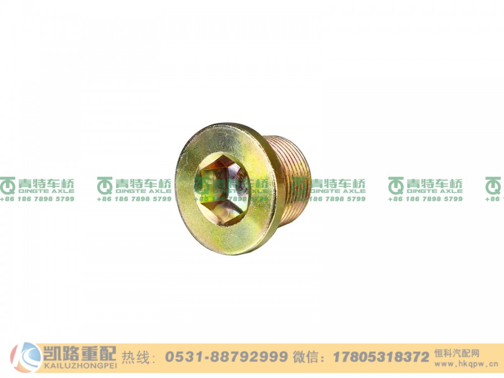 QT300S1-2400039,放油螺塞,山东凯路汽车零部件制造有限公司